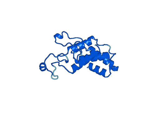 Recombinant Human LSS, N-His