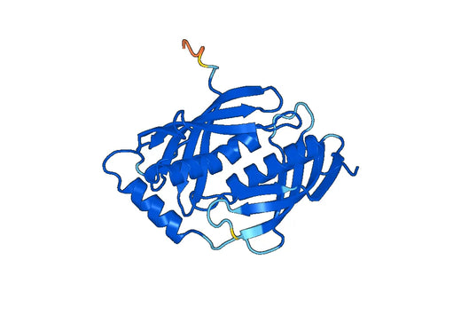 Recombinant Human LXN, N-His