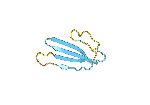 Recombinant Human LY6D Protein, N-His-SUMO & C-Strep