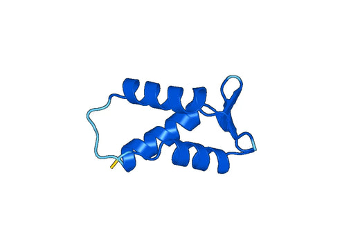 Recombinant Human LYAR Protein, N-GST & C-His