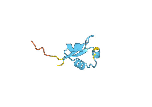 Recombinant Human LYSMD3 Protein, N-His-SUMO