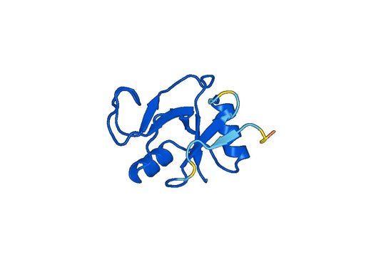 Recombinant Human LYVE1 Protein, N-His-SUMO