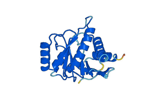 Recombinant Human MACROH2A2 Protein, N-His