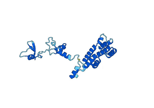 Recombinant Human MAEA, N-His