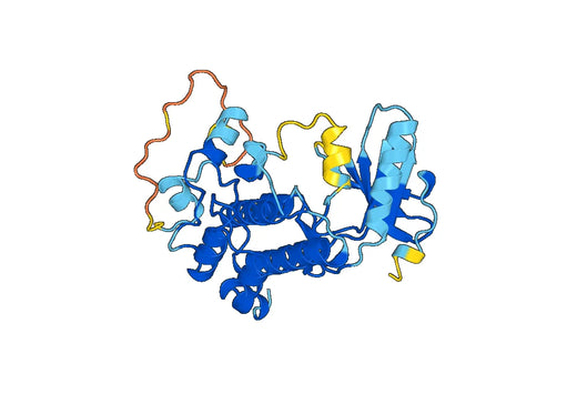 Recombinant Human MAP2K1, N-His
