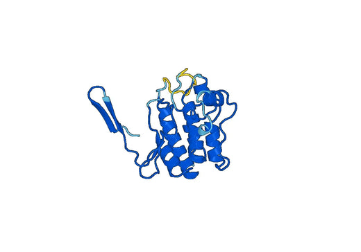 Recombinant Human MAP3K1, N-His
