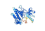 Recombinant Human MAP3K11 Protein, N-His