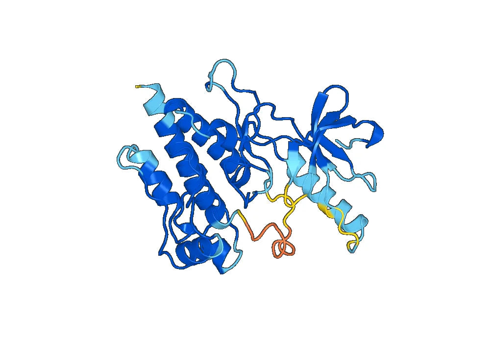 Recombinant Human MAP3K11 Protein, N-His