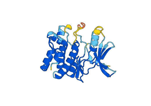 Recombinant Human MAP3K5, N-His