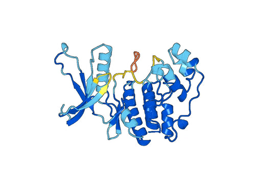 Recombinant Human MAPK11, N-His