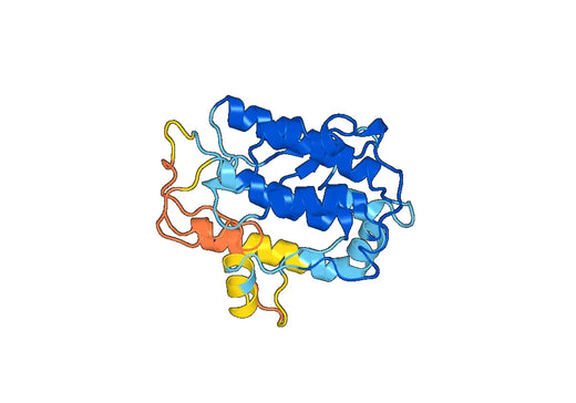 Recombinant Human MAPKAPK2, N-His