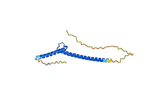 Recombinant Human MAX, N-GST