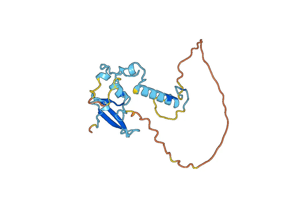 Recombinant Human MBD1, N-His