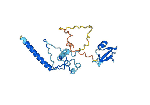 Recombinant Human MBD3 Protein, N-His