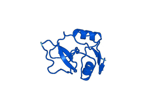 Recombinant Human MBL2/MBP-C Protein, N-His-SUMO