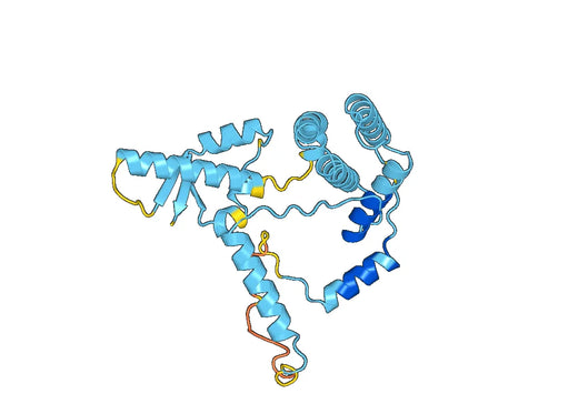 Recombinant Human MCM2, N-His