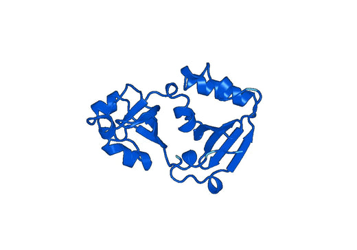 Recombinant Human MCTS1, N-His