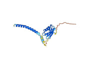 Recombinant Human MCU, N-His