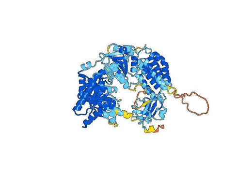 Recombinant Human MDA5/IFIH1 Protein, N-GST & C-His