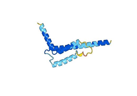 Recombinant Human MEIS1 Protein, N-His-SUMO