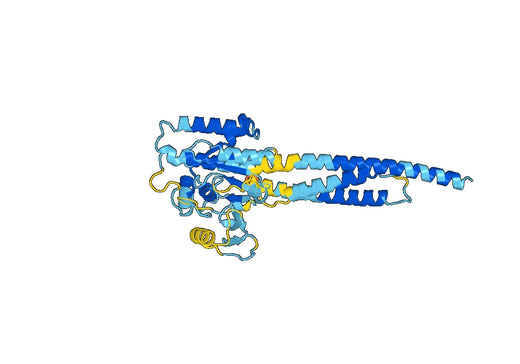 Recombinant Human MFN2 Protein, N-His