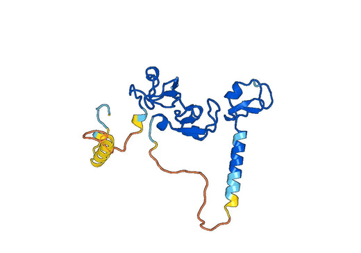 Recombinant Human MIB1, N-His