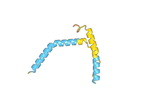 Recombinant Human MICOS13 Protein, N-His-SUMO