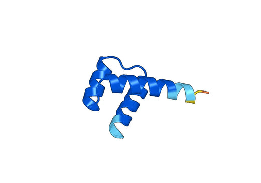 Recombinant Human MIXL1 Protein, N-GST & C-His