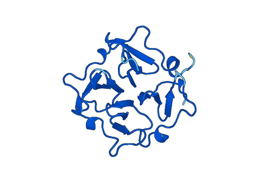 Recombinant Human MMP14, N-His