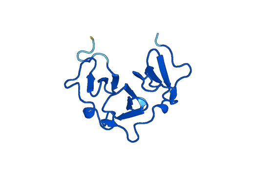 Recombinant Human MMP15, N-His