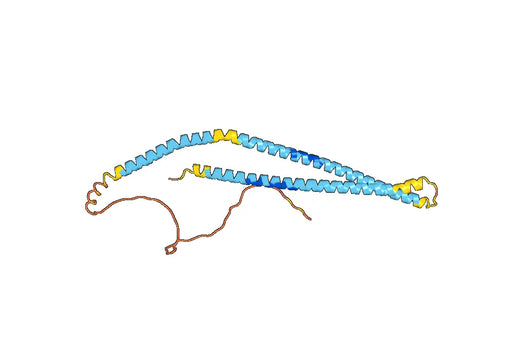 Recombinant Human MMRN1, N-His