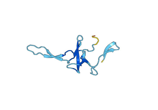 Recombinant Human MRPL24 Protein, N-His-SUMO