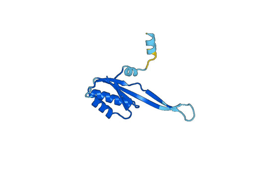 Recombinant Human MRPL48 Protein, N-His
