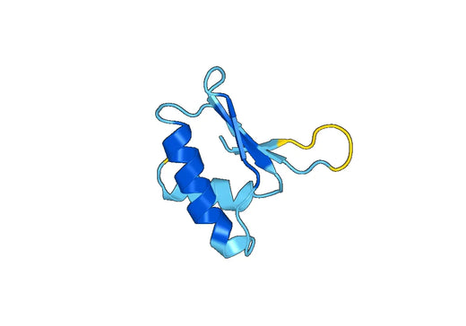 Recombinant Human MRPL49 Protein, N-GST & C-His
