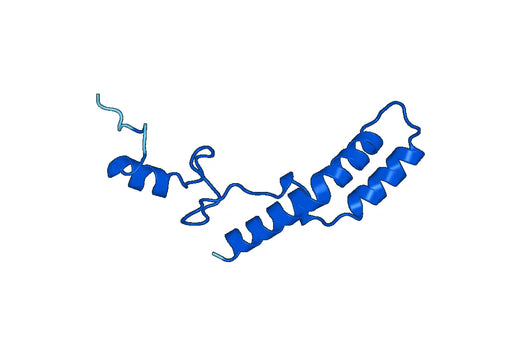 Recombinant Human MRPS14 Protein, N-His-SUMO