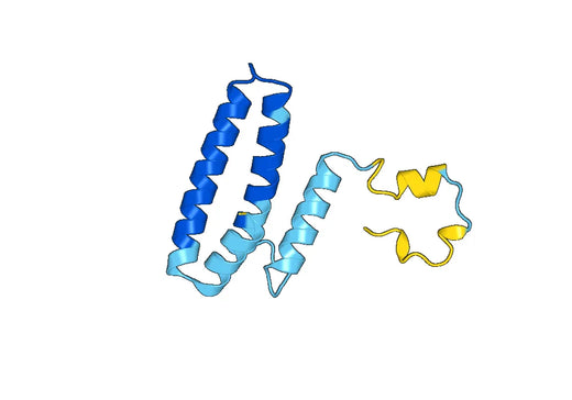 Recombinant Human MRPS15 Protein, N-His