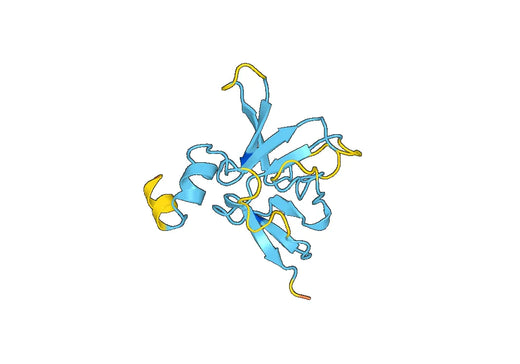 Recombinant Human MSRB2 Protein, N-His