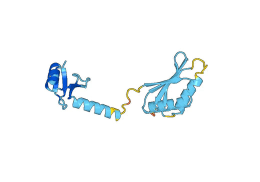 Recombinant Human MTIF3 Protein, N-His
