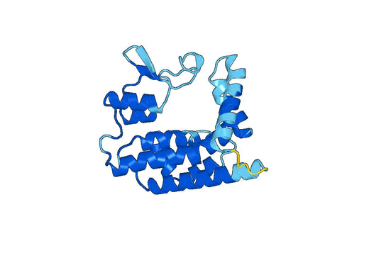 Recombinant Human MTX1, N-His