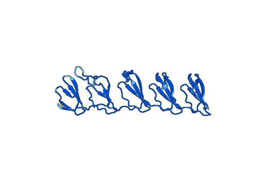 Recombinant Human MVP, N-His