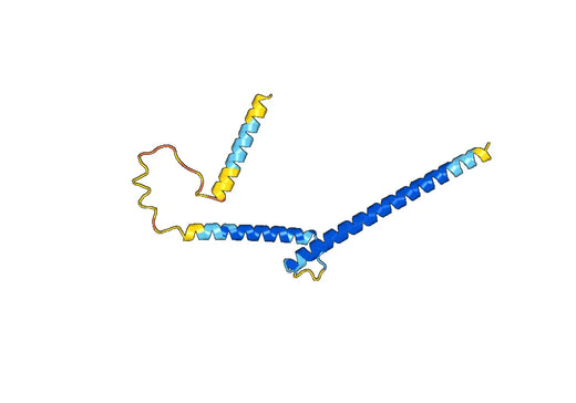 Recombinant Human MXD1 Protein, N-His