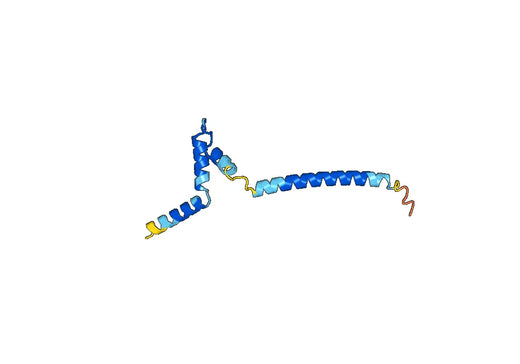 Recombinant Human MYCBP Protein, N-His-SUMO & C-Strep