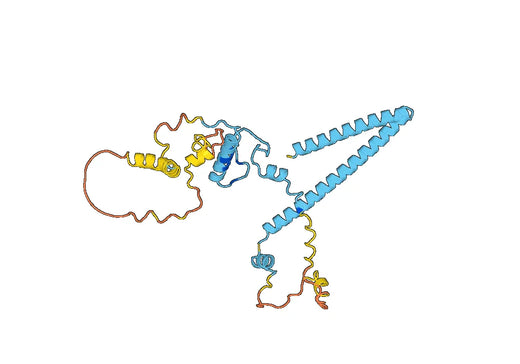 Recombinant Human MYO7A Protein, N-His