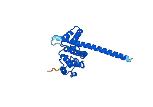 Recombinant Human MYO9B Protein, N-His