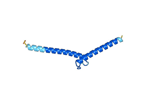 Recombinant Human MYOG Protein, N-His-SUMO