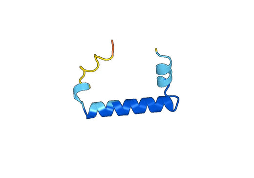 Recombinant Human MYOZ1 Protein, N-His-SUMO