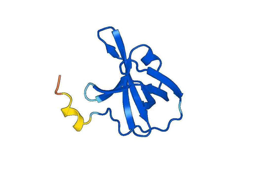 Recombinant Human NABP1 Protein, N-His-SUMO