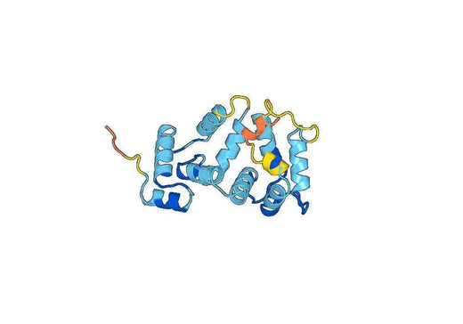 Recombinant Human NCALD Protein, N-His