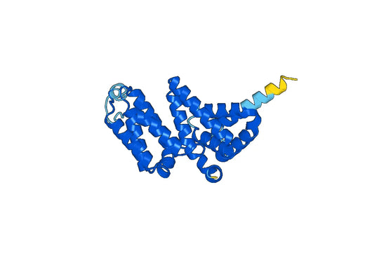 Recombinant Human NCBP1 Protein, N-His