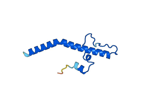 Recombinant Human NDUFA13 Protein, N-His-SUMO & C-Strep